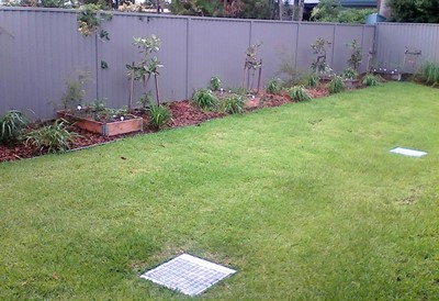 Garden with planted beds in Lifestyle Solutions Supported Independent Living property in Albion Park Rail, NSW