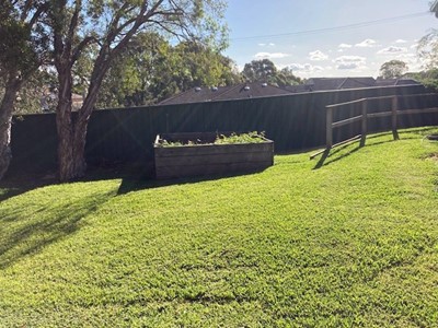 Outdoor area and raised garden bed in Lifestyle Solutions two-bedroom Supported Independent Living accommodation in Warabrook, NSW