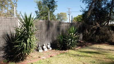 Braitling - Braitling - Supplejack House, NT Image 10