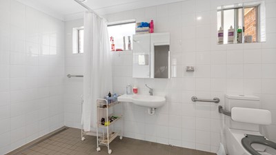 Waratah - Elderberry - Waratah, NSW Image 8