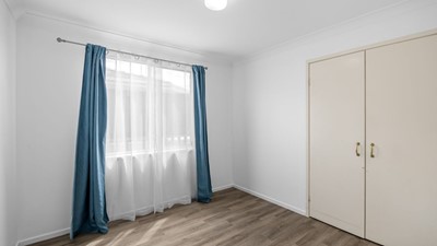 Waratah - Elderberry - Waratah, NSW Image 9