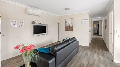 Waratah - Elderberry - Waratah, NSW Image 2